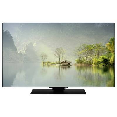 Panasonic OLED TV-48Z80BEZ